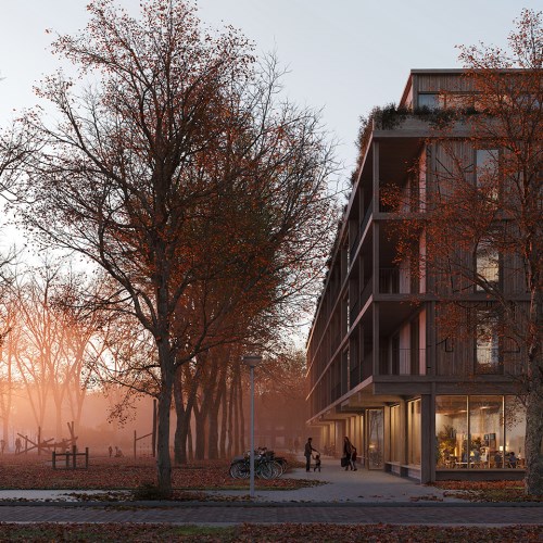 Boomhof foto 3